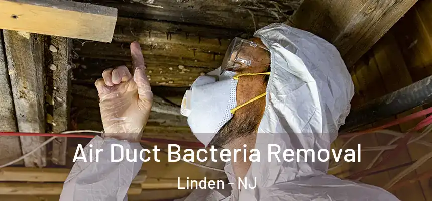  Air Duct Bacteria Removal Linden - NJ