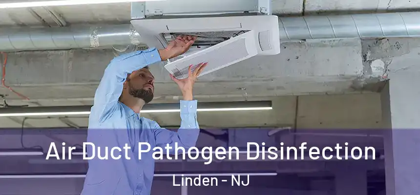 Air Duct Pathogen Disinfection Linden - NJ
