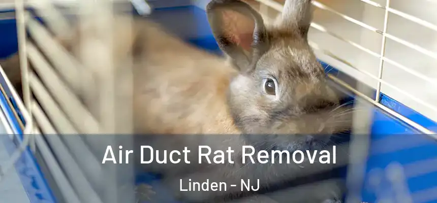 Air Duct Rat Removal Linden - NJ