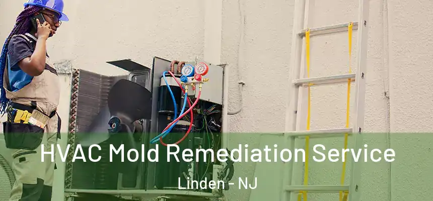  HVAC Mold Remediation Service Linden - NJ