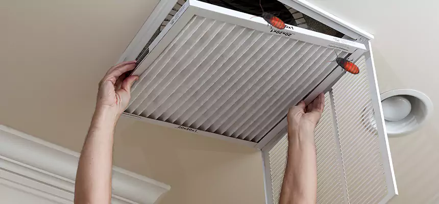 Preventive Cockroach-Proofing for Ducts in Linden