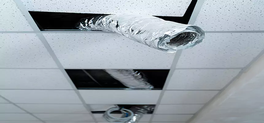 Our Air Duct Pet Hair Removal Services in Linden, NJ