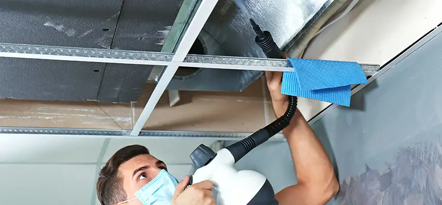 Our Air Duct Rodent Removal Services in Linden, NJ