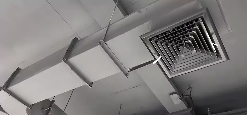 Restorative Allergy Relief Vent Cleaning – Coil, Blower & Housing Detail in Linden