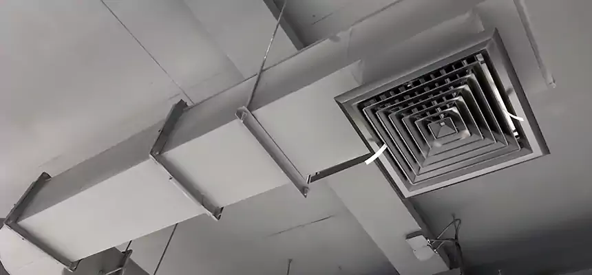 Our Pest Removal From Ducts Services in Linden, NJ