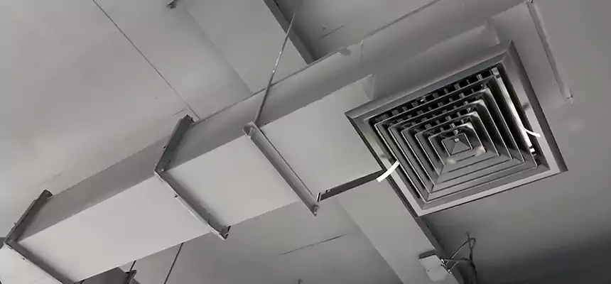 Our Rodent Droppings In Vents Services in Linden, NJ