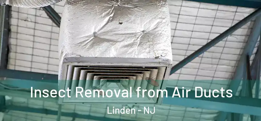 Insect Removal from Air Ducts Linden - NJ