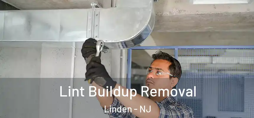  Lint Buildup Removal Linden - NJ