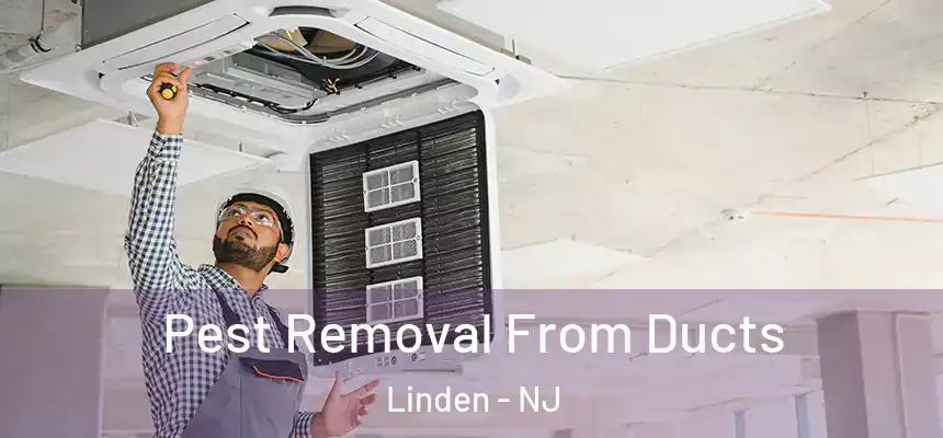  Pest Removal From Ducts Linden - NJ