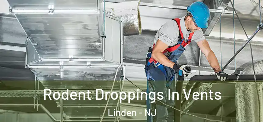  Rodent Droppings In Vents Linden - NJ