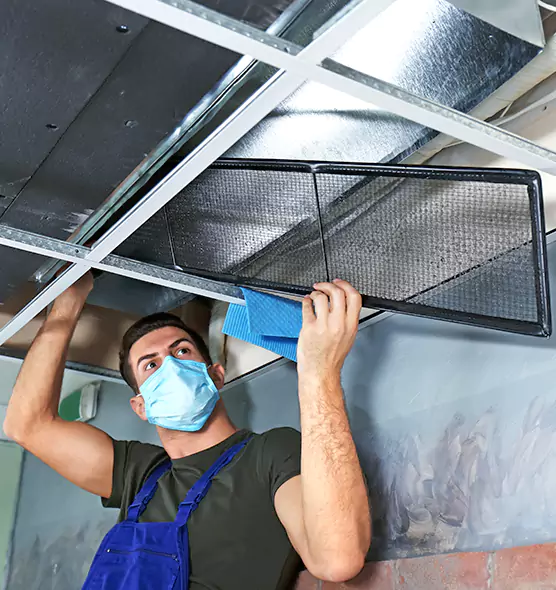 About Air Duct Bacteria Removal in Linden