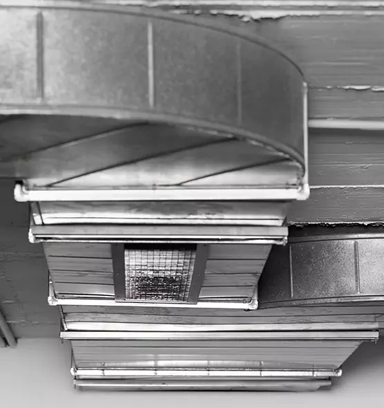 Professional Air Duct Pest Removal in Linden, NJ