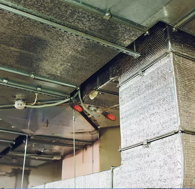 Why Homeowners & Businesses Trust Us in Linden, NJ?