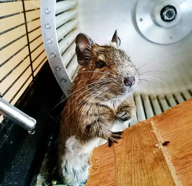 Why Homeowners & Businesses Trust Us Linden, NJ